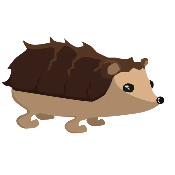 Hedgehog | Exoticloot