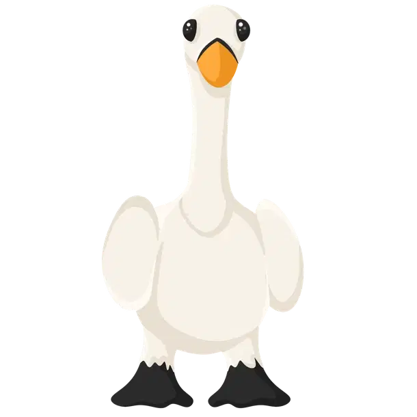 Swan | Exoticloot